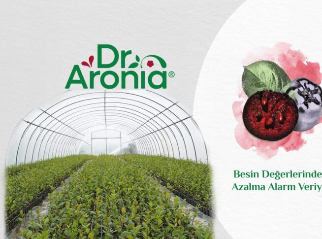 Besin Değerlerindeki Azalma Alarm Veriyor